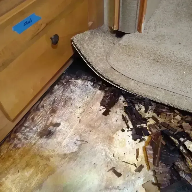 Wood Floor Water Damage in West Jefferson, OH